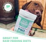 Natural Powder for Pet Dental Health Care