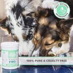 Natural Powder for Pet Dental Health Care