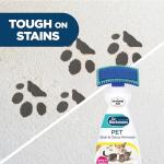 Pet Stain and Odor Remover with Brush 650ml