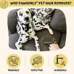 PawsOnly Portable Pet Hair Remover Tool