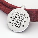Personalized Stainless Steel Pet ID Tags - Silver