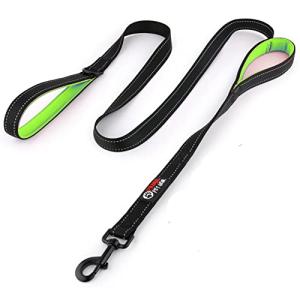 Primal Pet Gear 6ft Heavy Duty Dog Leash