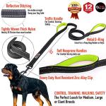 Primal Pet Gear 6ft Heavy Duty Dog Leash