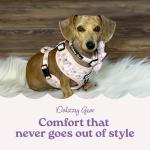 Dog Walking Bag with Treat Pouch and Poop Dispenser