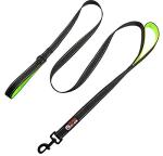 Primal Pet Gear 6ft Heavy Duty Dog Leash