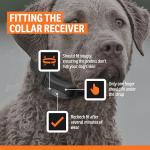 SportDOG NoBark 10 Rechargeable Dog Bark Collar