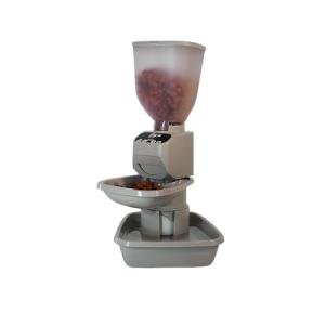 Smart Pet Feeder with Water Dispenser and OLED Screen