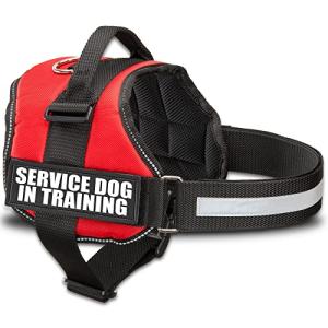 Service Dog in Training Harness - Red XS