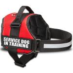 Service Dog in Training Harness - Red XS
