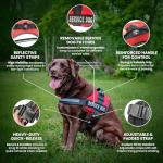 Service Dog in Training Harness - Red XS