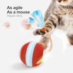 Interactive Bouncing Cat Toy with Elastic Tail