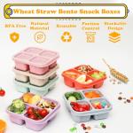 6 Pack Protein Snack Containers with Compartments