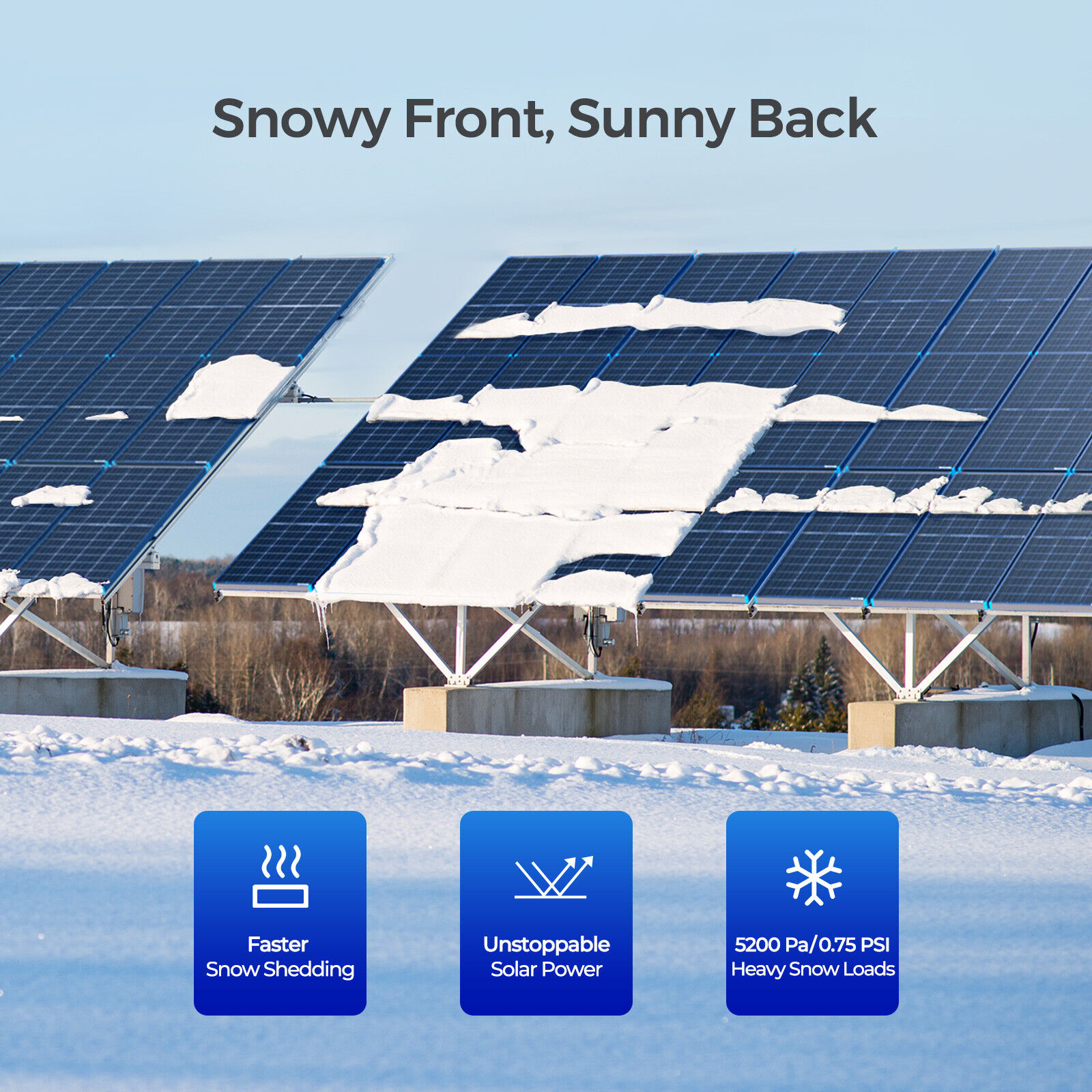 Renogy Mono Solar Panel 12V Off Grid Power