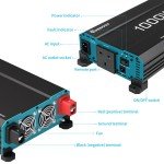 Renogy 1000W Pure Sine Wave Power Inverter