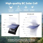 BigBlue 28W Foldable Solar Charger SunPower Dual USB