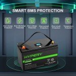 12.8V 100Ah LiFePO4 Battery for Solar RV