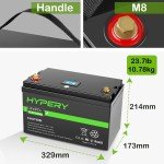 12.8V 100Ah LiFePO4 Battery for Solar RV