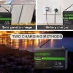 12.8V 100Ah LiFePO4 Battery for Solar RV