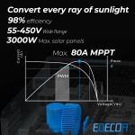 Solar Hybrid Inverters: 3KW 24V/240V Off Grid