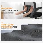 Ergonomic Mid-Back Office Chair with Lumbar Support