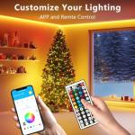 DAYBETTER Color LED String Lights with Voice Control