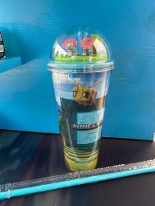 Minecraft Exclusive Dome Cup Collectible for Fans