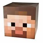 Minecraft Steve Cardboard Head Costume for Fun Events