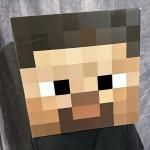 Minecraft Steve Block Head Mask and Axe Props