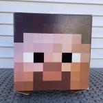 Minecraft Steve Cardboard Box Head Mask