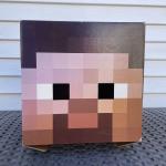 Minecraft Steve Cardboard Box Head Mask