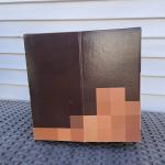 Minecraft Steve Cardboard Box Head Mask