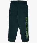 Minecraft Boys Fleece Hoodie and Jogger Set