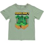 Minecraft Boys Gaming T-Shirt and Cargo Pants Set