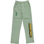 Minecraft Boys Gaming T-Shirt and Cargo Pants Set