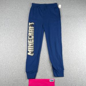 Royal Blue Minecraft Youth Large Sweatpants