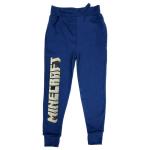 Minecraft Boys' Blue Jogger Sweatpants with Pockets