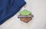 Minecraft Blue Spellout Joggers for Kids XL