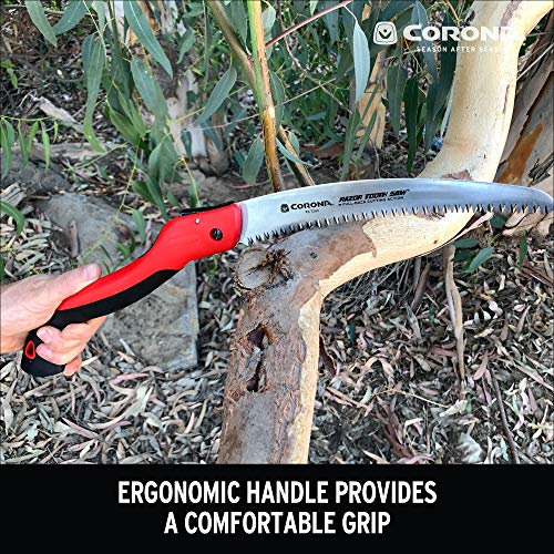 10-Inch Curved Folding Pruning Saw