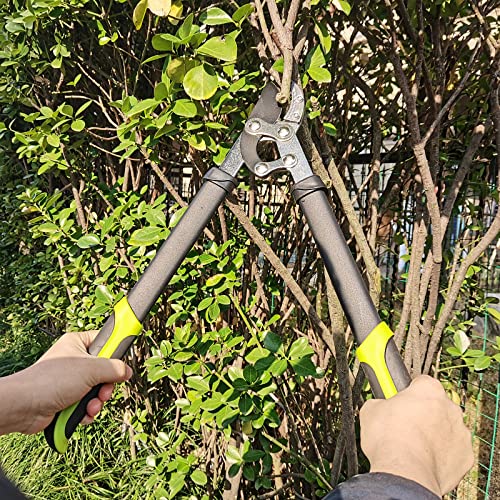 3-Piece Loppers and Shears Garden Tool Set