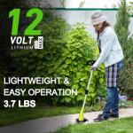 GardenJoy 12V Cordless Weed Wacker with Battery