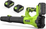 Cordless 650CFM Leaf Blower with 2 Batteries