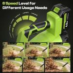 Cordless 650CFM Leaf Blower with 2 Batteries
