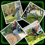 5000mAh Lithium-ion Batteries for EGO 56V Tools