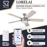 Smart 52" Ceiling Fan with Light & Remote
