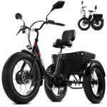Geemax 20" Fat Tire Electric Folding Tricycle