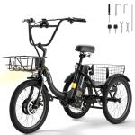 Skeri 20" Folding Electric Trike for Adults