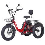 NARRAK Folding Electric Trike with Large Basket