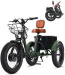 NOMIGO Folding Electric Tricycle with 500W Motor