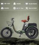 NOMIGO Folding Electric Tricycle with 500W Motor