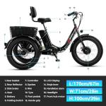 Geemax 20" Fat Tire Electric Folding Tricycle